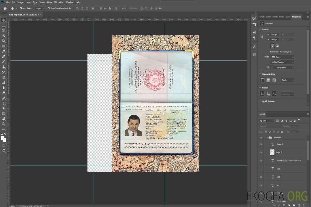 Look photo du passeport vietnamien template Look photo du passeport vietnamien template